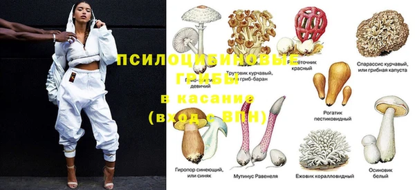 ECSTASY Баксан